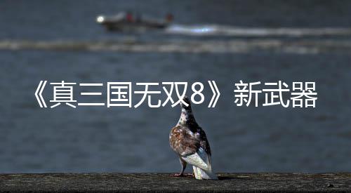 新武器昊真转锤三国视频演示无双