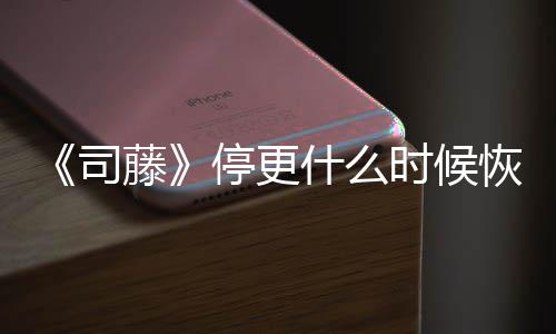 播出藤停更更新司什么时候时间恢复 大结局揭秘