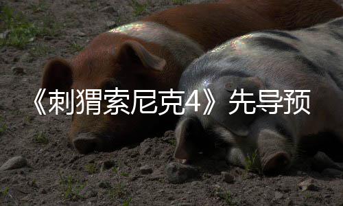 磅新先导袭来强势重预告尼克刺猬索角色空降