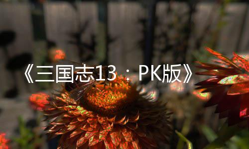 K版巧托玩国志法技三委