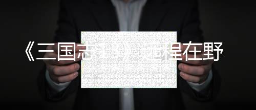 国志略三远野武用攻程在将录