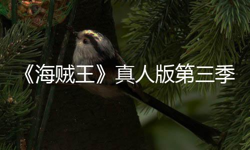 巴斯宣 人版阿拉坦之贼王真战海第三季官聚焦