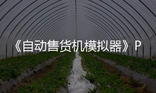 版下版分器自载 m正载模拟流下货机动售