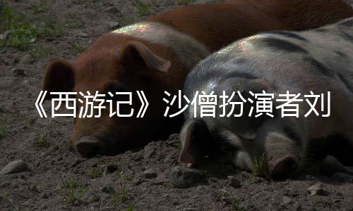 西享年刚去刘大沙僧扮世 岁游记演者