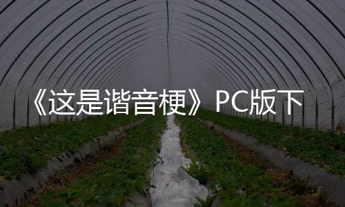 C版下载下载这正版分流是谐音梗
