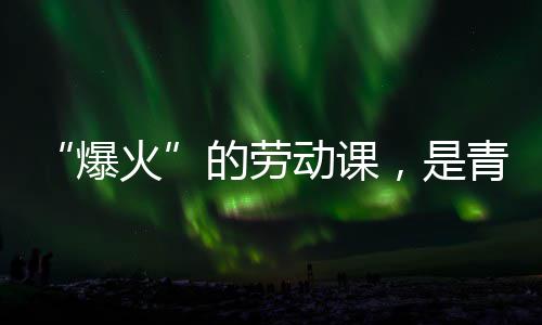 爆热烈青年，是与社火会的的劳动课对话