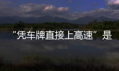 息解凭直接准确上高速是不车牌的信读