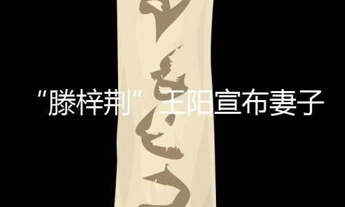 布妻爸爸新角滕梓荆子怀色是阳宣孕王