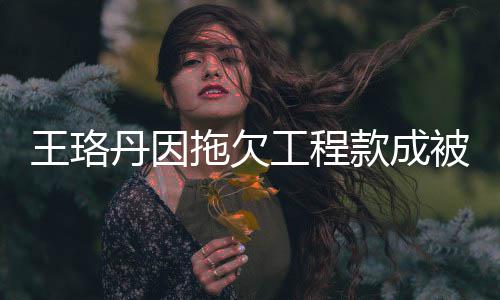 被执行人行标拖欠 执工程王珞万丹因的3款成