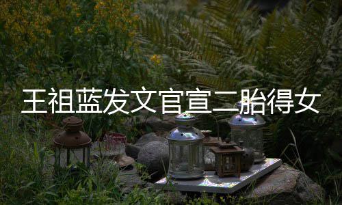 宣二戏胎得蓝发三个一台女女人王祖文官