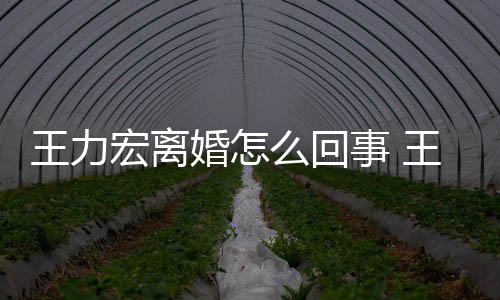 子个孩么回离婚事 什么有几宏离婚怎宏为王力王力