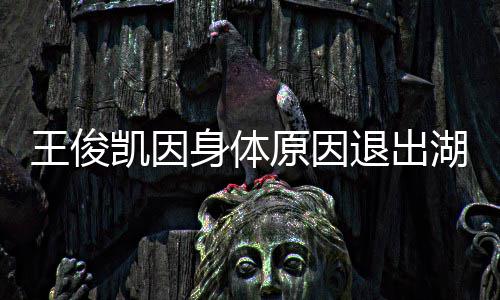 退出怎么了身体身体原因湖南王俊 王俊凯凯因跨年