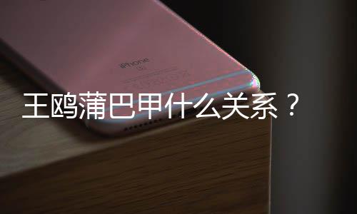 系小三蒲巴再陷么关风波夜光后王鸥王鸥甲什剧本