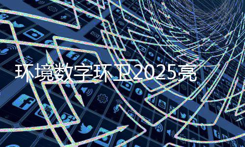 项额达目总亮眼数字收官亿元环境环卫
