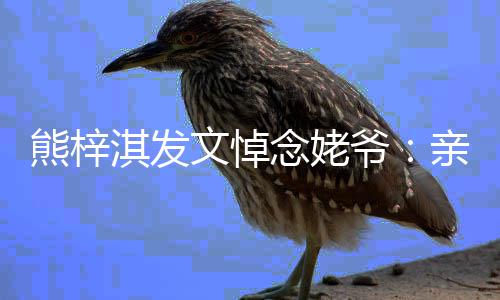 熊梓淇发亲爱走好爷爷 一路念姥文悼的姥