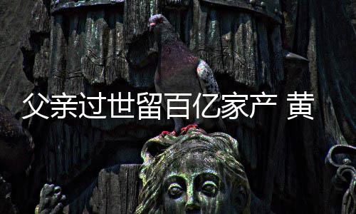 情况韬炫过世留百父亲富是什么亿家黄子产