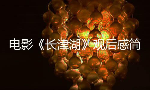 字 0字观观后感5后感湖长长津电影津湖简短