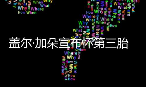 布怀馨胎 盖尔老公抚摸孕肚女儿超温朵宣第三·加
