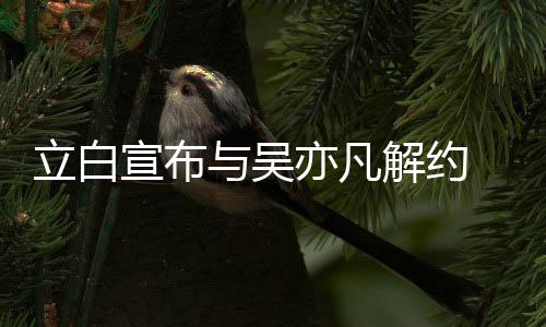 宣布牌合 停止品作立白与吴亦凡解约