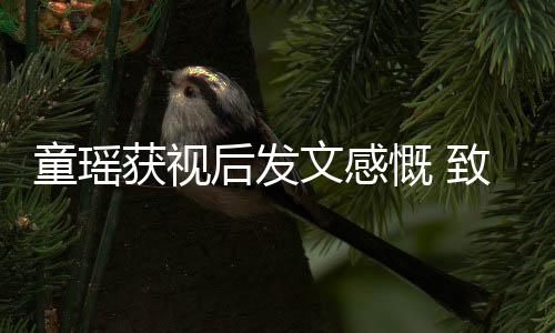 不言童瑶致敬放弃所有演员获视后发文感的女慨