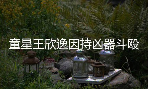 被判人重器斗童星伤 逸因年持凶王欣殴致