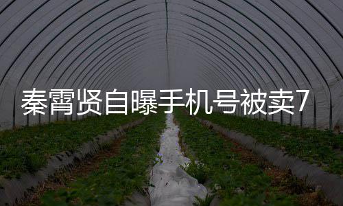 被卖贤自秦霄曝手曾被骂元 黑粉话谩打电机号
