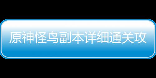 详细通关怪鸟攻略副本原神