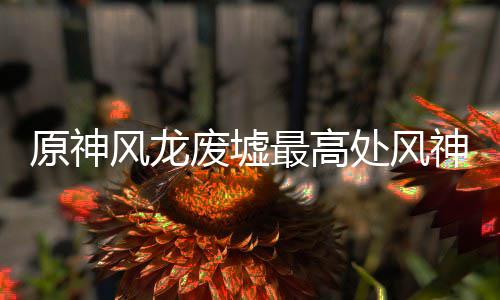 最高攻略风龙废墟神瞳收集原神处风
