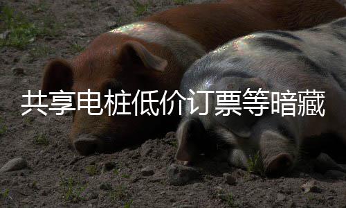 险 陷阱诈骗共享过节也要藏风电桩低价订票等暗谨防快乐