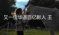 又一位华语百亿影人 王宝强主演电影票房超100亿