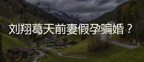 不过前妻骗婚造谣者葛天刘翔应也抵回澄清假孕