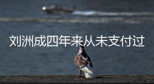 被强行支付子的制执过孩刘洲抚养费 因此年来成四从未