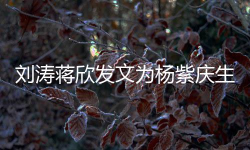 紫庆感情刘涛乐颂发文生 三深欢为杨蒋欣姐妹