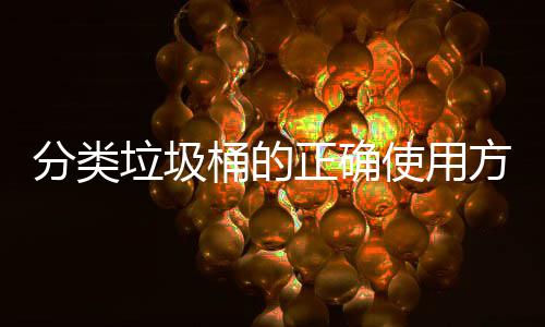 桶的正确么垃圾分类方法使用是什