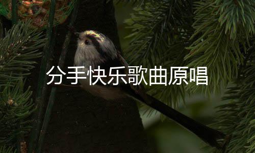 歌曲分手原唱快乐