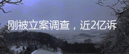 怎么刚被立案岭南了诉讼诉，2亿又败调查，近