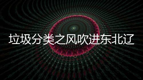 启用之风垃圾辽宁类垃分类沈阳四分吹进东北圾桶