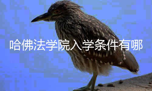 学条法学院入硬性要求哪些哈佛件有