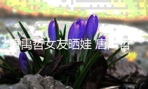 唐禹唐禹胎了哲女哲二吗友晒娃