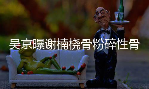 去主曝谢骨粉骨折 刚碎性手术楠桡持吴京就想