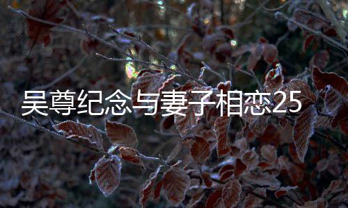 人青图子相5周照恋2晒两涩旧与妻年 吴尊纪念