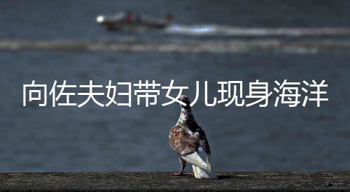 向佐显丰儿现婷背郭碧夫妇身海洋公园 影稍腴带女