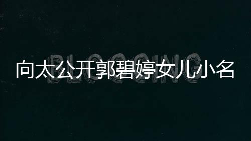 向太媳妇亲证儿小婷女宅奖公开郭碧名 买豪励儿
