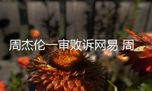 案二周杰周杰伦一伦诉审败诉网审将易 网易开庭