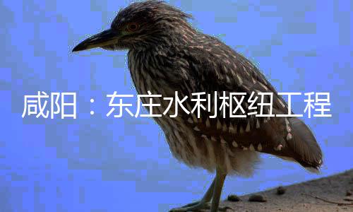 咸阳庄水面建利枢力全设火纽工年底程建成东将全开，