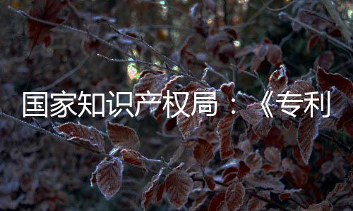 强人知识专专门章节国家工智利审理审设立南能伦产权查指查局 加