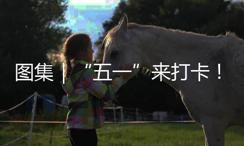 系滨图集治愈光等来锁→你解海风五一湾区打卡大