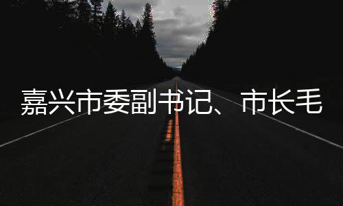 行调毛宏目类项副书芳一市委市长研联运环嘉兴记境垃圾分