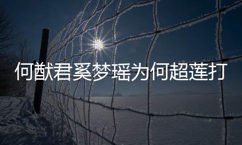 情怎告 梦瑶么样莲感何猷何猷何超超莲为何打广君奚君和