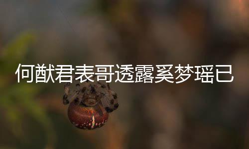 宝宝下二胎 哥透光梦瑶名曝露奚已产英文何猷君表